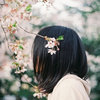 概率之云的头像-四位快资讯